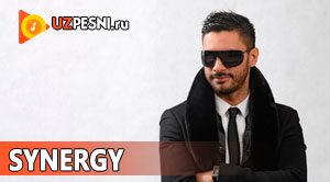 DJ Piligrim - Synergy