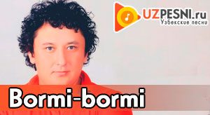 Doniyor Bakirov - Bormi-bormi