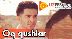 Sunnat Salayev - Oq qushlar