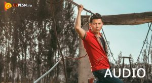 Alisher Zokirov - Yurak