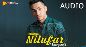 Mano guruhi - Nilufar