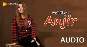 Guli Navo