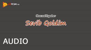 Shaxzod Ergashev - Sevib Qoldim (2019)