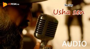 San Jay - Usha sen