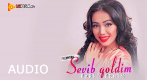 Barno Begim - Sevib qoldim