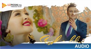 Shohrux Mirzo - Sevib qoldim