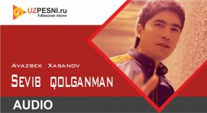 Avazbek Xasanov - Sevib qolganman