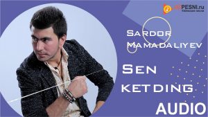 Sardor Mamadaliyev - Sen ketding