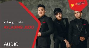 Yillar guruhi - Aylading judo