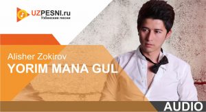Alisher Zokirov - Yorim mana gul