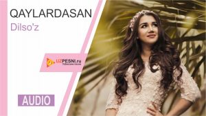 Dilso'z - Qaylardasan