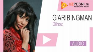 Dilnoz - G'aribingman