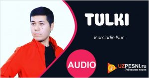 Isomiddin Nur - Tulki