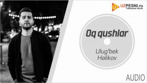 Ulug'bek Halikov - Oq qushlar