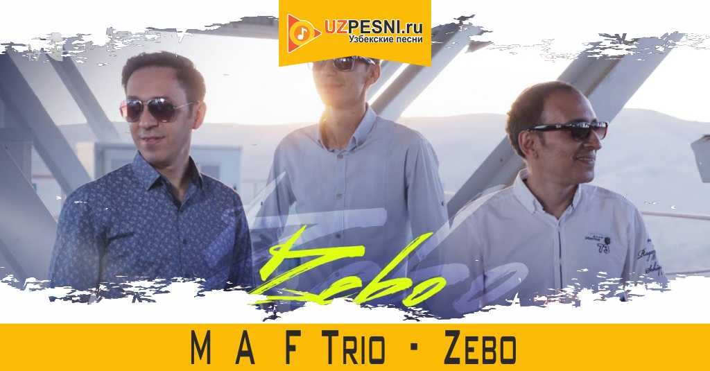 M A F Trio - Zebo