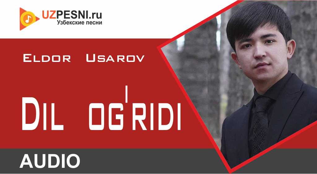 Eldor Usarov - Dil og'ridi