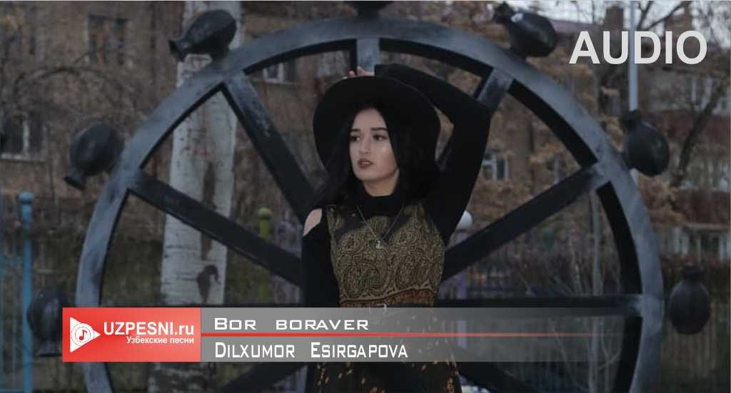 Dilxumor Esirgapova - Bor boraver
