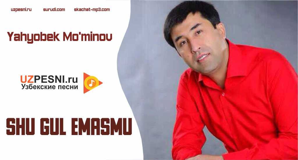 Yahyobek Mo'minov - Shu gul emasmu