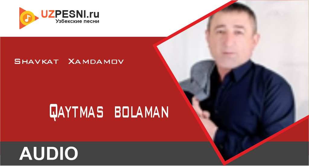 Shavkat Xamdamov - Qaytmas bolaman