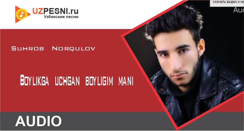 Suhrob Norqulov - Boylikga uchgan boyligim mani