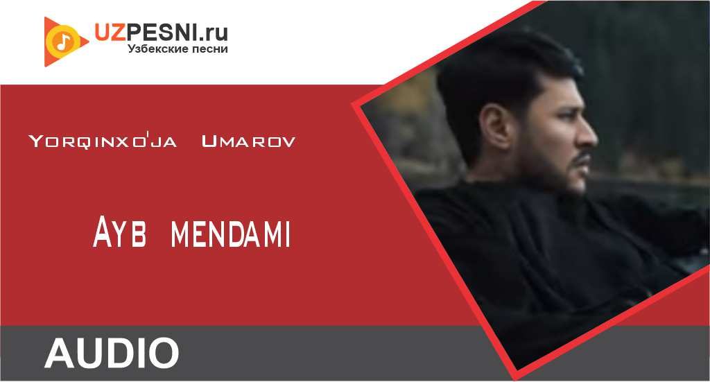 Yorqinxo'ja Umarov - Ayb mendami