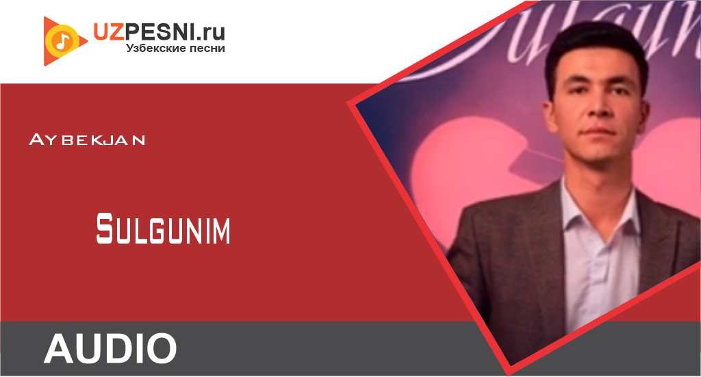 Aybekjan - Sulgunim