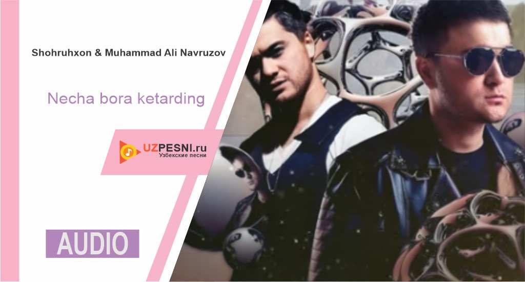 Shohruhxon & Muhammad Ali Navruzov - Necha bora ketarding