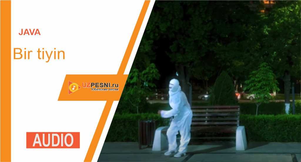 Java - Bir tiyin
