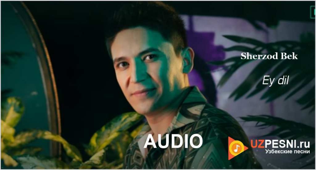 Sherzod Bek - Ey dil