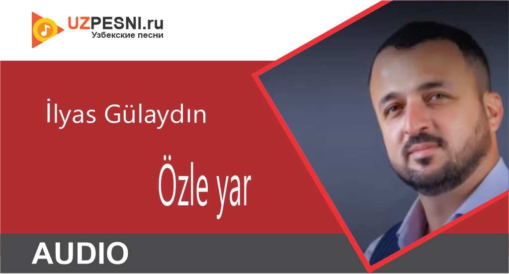 İlyas Gülaydın - Özle yar