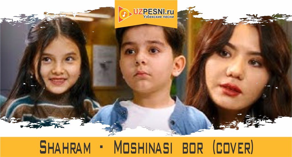 Shahram - Moshinasi bor (cover)