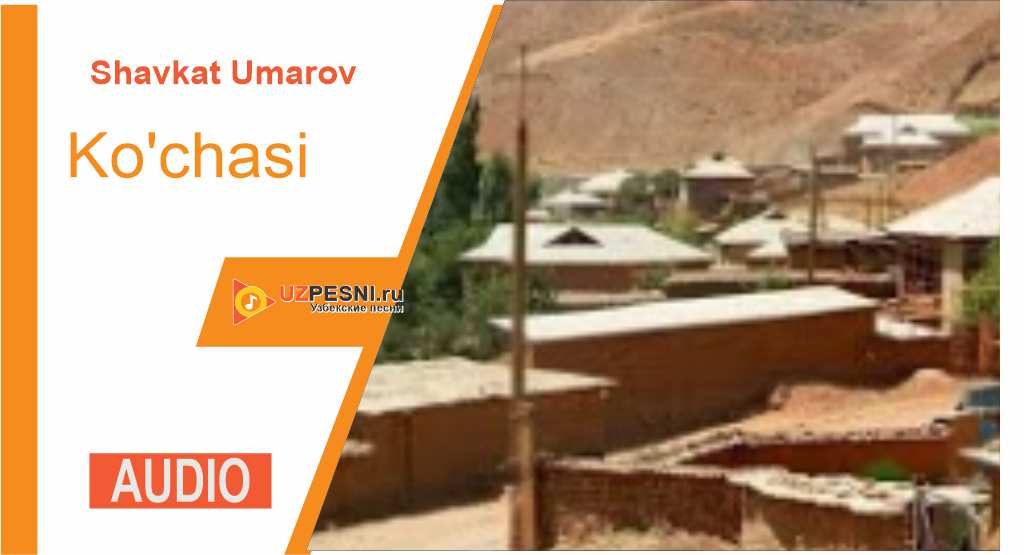 Shavkat Umarov - Ko'chasi