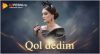 Xonzoda Do'stova - Qol dedim